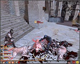 2 - Rasa z rodzinnych stron | Questy poboczne - Akt 2 | Solucja Dragon Age II - Dragon Age II - poradnik do gry