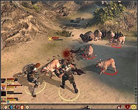 Kieruj się w stronę północno-zachodniej części obszaru - Terror na Wybrzeżu | Questy poboczne - Akt 1 | Solucja Dragon Age II - Dragon Age II - poradnik do gry