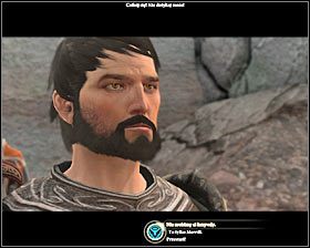 Kontynuuj przemarsz na północ - Lustrzane odbicie (1) | Questy towarzyszy - Akt 2 | Solucja Dragon Age II - Dragon Age II - poradnik do gry