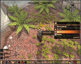5 - Odstępca (2) | Questy towarzyszy - Akt 2 | Solucja Dragon Age II - Dragon Age II - poradnik do gry