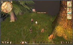 Po dotarciu do Komory mytniczej obejdź całą posiadłość i udaj się na północ - 2. Thorwalianie na Wielkiej Rzece | Zadania główne - Drakensang: Phileassons Secret - poradnik do gry