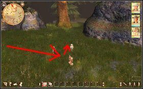 2 - Z1; Z2. Handlarka map i Poszukiwanie skarbów | Zadania poboczne - Drakensang: Phileassons Secret - poradnik do gry