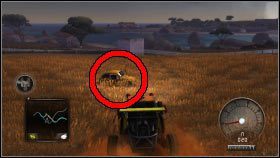 016 - Ibiza - obszar 1 | Wraki w Test Drive Unlimited 2 - Test Drive Unlimited 2 - poradnik do gry