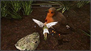 Ptak o którym mowa znajduje się na ziemi, tuż obok Puka [M2 - Zadana poboczne | Yggdrasil | Faery Legends of Avalon - Faery: Legends of Avalon - poradnik do gry