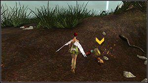 Paproć znajdziesz obok domu Muchołowa [M2 - Zadania główne | Yggdrasil | Faery Legends of Avalon - Faery: Legends of Avalon - poradnik do gry