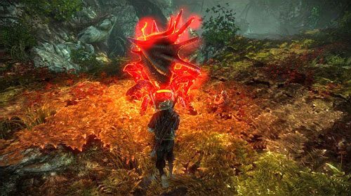 Po dotarciu na miejsce zostaniesz wprowadzony w częściową pułapkę - musisz zabić krabopająka - Zabójcy królów (kroki 1 - 6) | Akt 1 - zadania główne w Wiedźmin 2 - Wiedźmin 2: Zabójcy Królów - poradnik do gry