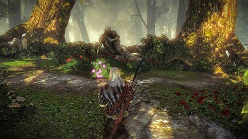 Udaj się przez las na południe krainy, do starych ruin elfickich (M8, 18), po drodze uważaj na nekkery, endriagi oraz porozstawiane pułapki - Róża pamięci | Akt 1 - zadania główne w Wiedźmin 2 Zabójcy Królów - Wiedźmin 2: Zabójcy Królów - poradnik do gry