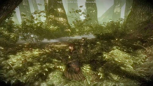 Iorweth, zapytany o Rochea, wspomni sobie walkę z nim - Pływające więzienie | Akt 1 - zadania główne w Wiedźmin 2 Zabójcy Królów - Wiedźmin 2: Zabójcy Królów - poradnik do gry