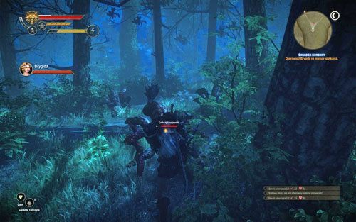 Jeśli postanowisz zbadać niewielką przestrzeń po prawej [#2] natkniesz się tam na kilka endriag, jednakże znajdziesz tam również dość ciekawy schemat: zbroja z Tir na Lia [#3] - Świadek koronny | Akt 3 - zadania poboczne - Roche | Wiedźmin 2 Zabójcy Królów - Wiedźmin 2: Zabójcy Królów - poradnik do gry