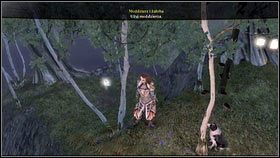 Gdy wyjdziesz z pieczary, skręć w prawo [1] i wdrap się na szczyt kolejnej wysepki - Driftwood; Miasto Aurora | Srebrne Klucze Fable 3 - Fable III - poradnik do gry