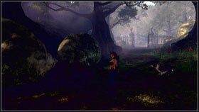 Żeby dostać się do tej lokacji, biegnij do fortu w Mourningwood, a następnie opuść go przez bramę zza której nadchodziły upiory - Mourningwood; Silverpines; Dom zachodzącego słońca | Książki z Brightwall - Fable III - poradnik do gry