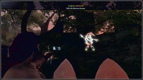 Udaj się do fortu, a następnie opuść go przez bramę, zza której atakowały upiory - Driftwood; Mourningwood | Gnomy w Fable 3 - Fable III - poradnik do gry