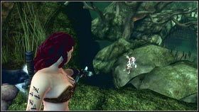 Po wejściu do osady na końcu lasu, idź prosto, trzymając się maksymalnie prawej strony - Driftwood; Mourningwood | Gnomy w Fable 3 - Fable III - poradnik do gry