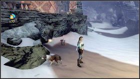 6 - Ukryta ścieżka | Kwiaty z Aurory w Fable 3 - Fable III - poradnik do gry