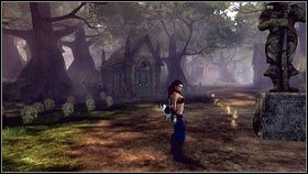 3 - Demoniczne Wrota | Demoniczne wrota i legendarne bronie w Fable 3 - Fable III - poradnik do gry