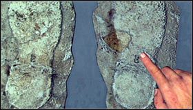 Udaj się teraz w prawo, a konkretnie do miejsca, w którym na stole leżą odlewy odcisków butów #1 - Case 9 - The Golden Butterfly (2) | Główne śledztwa w LA Noire - L.A. Noire - poradnik do gry