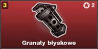 Granaty błyskowe tymczasowo oślepiają wrogich graczy spoglądających w jego stronę w momencie wybuchu - Żołnierz | Umiejętności Brink - Brink - poradnik do gry