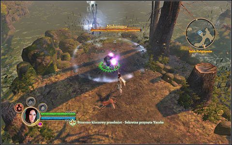 Najlepiej najpierw pokonać obstawę potwora, a dopiero potem zaatakować jego samego. - Zadanie poboczne - taaaka ryba | Akt 1 | Dungeon Siege III - Dungeon Siege III - poradnik do gry