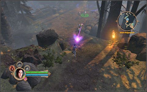 Naszymi przeciwnikami są Lascanzi - liczni, ale niezbyt silni. - Zadanie poboczne - pechowy kupiec | Akt 1 | Dungeon Siege III - Dungeon Siege III - poradnik do gry