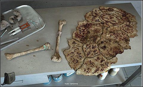 Wróć do laboratorium - Oczyść kości | Dzień 1 | Alpha Polaris - Alpha Polaris - opis przejścia - poradnik do gry