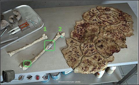 Obejrzyj je w zbliżeniu: oczyszczoną kość ramieniową (1) i oczyszczoną kość udową (2), a na niej: głębokie nacięcie u dołu i kalcynację bardziej u góry - Zbadaj pozostawione na noc w okapie kości | Dzień i Noc 2 | Alpha Polaris - Alpha Polaris - opis przejścia - poradnik do gry