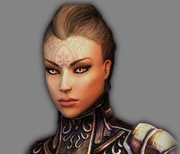 Archontka to najbardziej uniwersalna z postaci dostępnych w grze - w jednym trybie (ludzkim) doskonale posługuje się swoją włócznią, rzezając przy jej użyciu całe zastępy wrogów, natomiast przechodząc w ognistą postać, staje się doskonałym wsparciem zasięgowym - prawdziwą płonącą armatą - Anjali | Bohaterowie | Dungeon Siege III - Dungeon Siege III - poradnik do gry