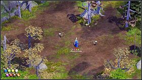 Będziesz tam świadkiem walki pająków z goblinami [1] - Rozdział 1 - Pomroczne widmo (2) - Opis przejścia - Magicka - poradnik do gry