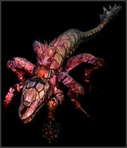 Składniki z endriagi - Potwory | Bestiariusz w Wiedźmin 2 Zabójcy Królów - Wiedźmin 2: Zabójcy Królów - poradnik do gry