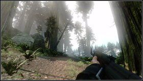 2 - Pola marihuany - Rozdział 1 - Call of Juarez: The Cartel - Kimberly Evans - poradnik do gry