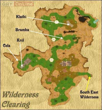 Miejsce to jest opustoszałe i spotkać tu można jedynie mniej lub bardziej leśne stworzenia - Wilderness Clearing w Wizardry 8 - Wizardry 8 - poradnik do gry