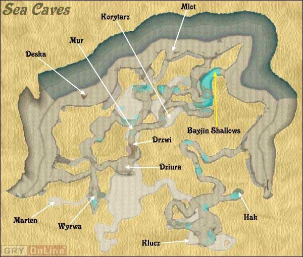 Dotarcie do tego miejsca stanowi bezapelacyjnie jeden z istotniejszych momentów kulminacyjnych w grze - Bayjin Shalows, Sea Caves w Wizardry 8 - Wizardry 8 - poradnik do gry