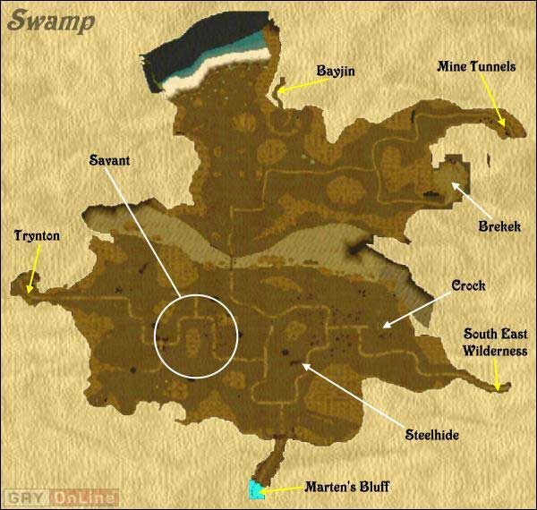 Dość nieprzyjemne miejsce - Swamp w Wizardry 8 - Wizardry 8 - poradnik do gry