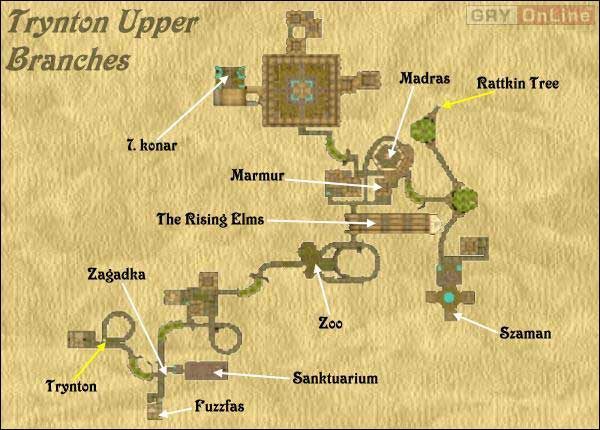 Najistotniejsze jest drugie spotkanie z szamanem - Trynton Upper Branches w Wizardry 8 - Wizardry 8 - poradnik do gry