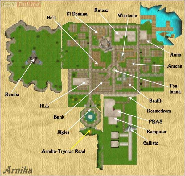 O dziwo w tym największym mieście na Dominusie niewiele gracz musi wykonać czynności spośród tych koniecznych - Arnika w Wizardry 8 - Wizardry 8 - poradnik do gry