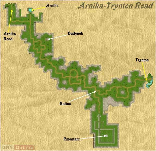 Nieco przerośnięte skrzyżowanie dróg - Arnika-Trynton Road w Wizardry 8 - Wizardry 8 - poradnik do gry