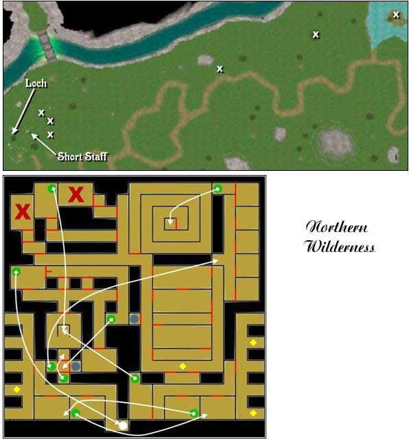 4 - Bonusowe labirynty w Wizardry 8 - Wizardry 8 - poradnik do gry