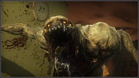 Wkrótce wpłyniemy pomiędzy podtopione zabudowania [1] - Rozdział 5 | Opis przejścia Resistance 3 - Resistance 3 - poradnik do gry