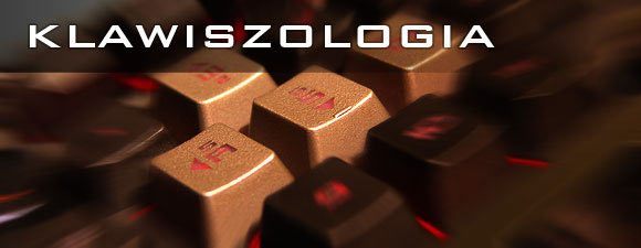 Jeśli chodzi o sterowanie, nie znajdziesz tu żadnych niespodzianek - Klawiszologia | Podstawowe informacje | Hard Reset - Hard Reset - poradnik do gry