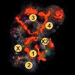 1 - symbol Arkatha (daje bohaterowi premię +5 do obrony oraz obrony przed magią na okres tygodnia - 1 misja - mapy | Kampania Świątyni w Might & Magic Heroes VI - Might & Magic: Heroes VI - poradnik do gry