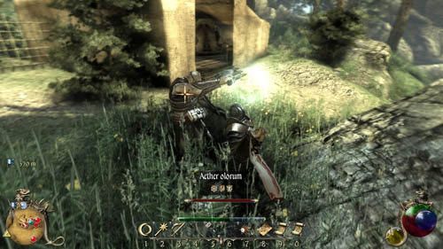 Musisz teraz znaleźć trzy porcje Przetrawionej trawy, którą wyjmiesz z ciał zabitych jeleni - Rewolucja naukowa - Two Worlds II: Pirates of The Flying Fortress - poradnik do gry