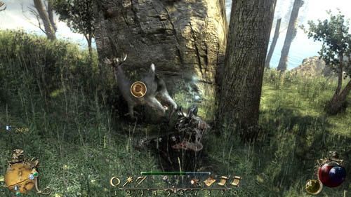 Zabij trzy jelenie, zabierz trzy porcje Przetrawionej trawy i żeby już nie wracać, poszukaj trzech Zygofalli (jest ich sporo na północy wyspy) - Rewolucja naukowa - Two Worlds II: Pirates of The Flying Fortress - poradnik do gry