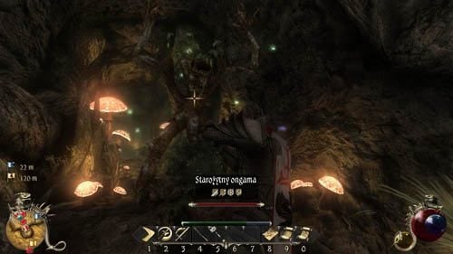 Pozostały jeszcze dwa świetliki do zdobycia - Duchy natury - Two Worlds II: Pirates of The Flying Fortress - poradnik do gry