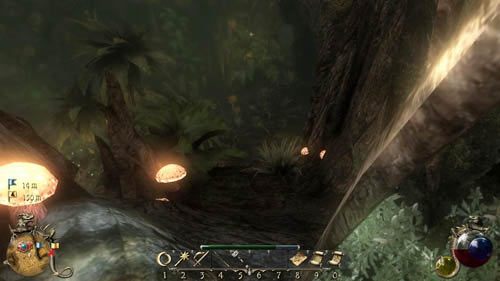 1 - Duchy natury - Two Worlds II: Pirates of The Flying Fortress - poradnik do gry