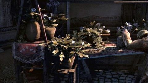 Znajdziesz tam kwiaciarza, który niestety nie będzie miał poszukiwanych przez ciebie kwiatów - Sekwencja 6 - Fortunes Disfavor (3-5) | Opis przejścia AC Revelations - Assassins Creed: Revelations - poradnik do gry