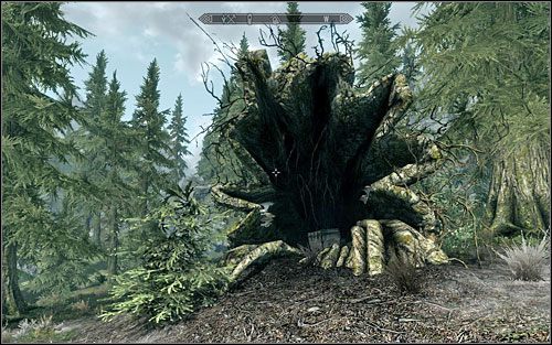 Właśnie tam, u podnóży gór, w pniu drzewa, powinieneś znaleźć skrzynię (screen powyżej) - Mapy skarbów (I) | Questy poboczne w Skyrim - Skyrim - poradnik, mapy, questy