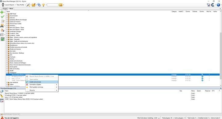 Za każdym razem, możesz wybrać, czy chcesz pobrać modyfikację manualnie, lub z pomocą dodatkowego programu (głównie Nexus Mod Manager) - Jak zainstalować moda Skyrim: Bruma? - Skyrim - poradnik, mapy, questy