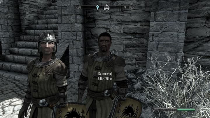 Wróć do Adiusa i powiedz, że Bentior odmawia pomocy. - Absent Antiquity | Zadania w grze | Skyrim - Skyrim - poradnik, mapy, questy