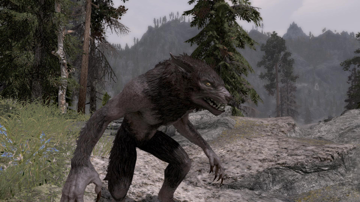 Werewolf Mastery umieszcza w grze szereg opcji konfiguracyjnych pozwalających podrasować wilczą postać - Werewolf Mastery | Mody do Skyrim - Skyrim - poradnik, mapy, questy