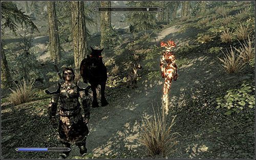 Potencjalnych sojuszników głównego bohatera możemy podzielić na cztery zasadnicze grupy - Towarzysze | Skyrim Zestawienia - Skyrim - poradnik, mapy, questy