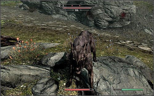 Kontynuuj przeprawę na północ, ale bądź gotowy do odparcia ataku ze strony wilków (powyższy screen) - Spotkanie się z Alvorem | Cisza przed burzą | Solucja Skyrim - Skyrim - poradnik, mapy, questy